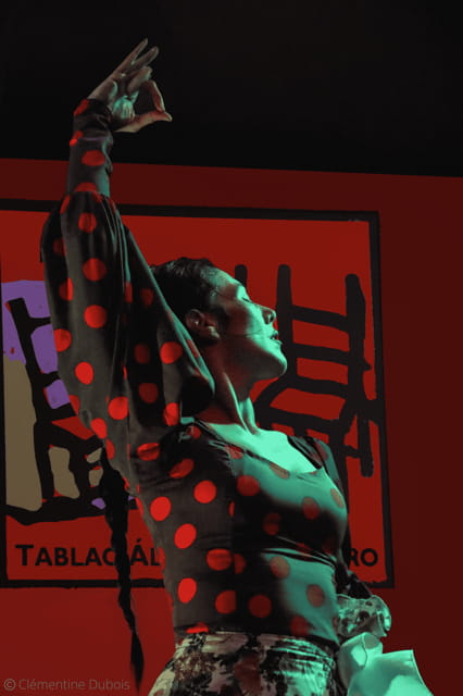 Sevilla: Flamenco Show at Tablao Álvarez Quintero - The Authenticity and Passion