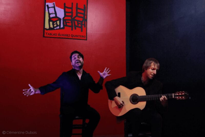 Sevilla: Flamenco Show at Tablao Álvarez Quintero - Who Should Visit This Flamenco Show?
