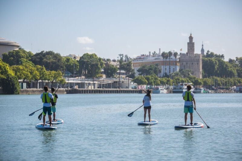 Seville: 1.5-Hour Daytime Standup Paddleboarding Tour - Exploring the Seville Paddleboarding Experience in Depth