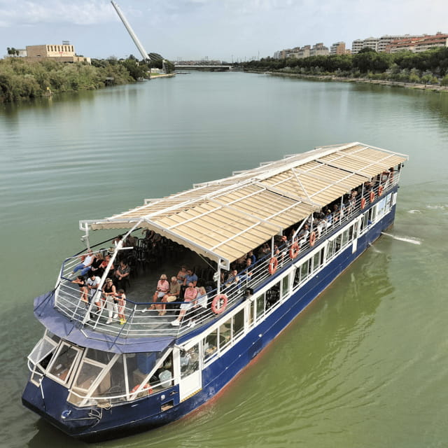 Seville: 1-Hour Guadalquivir River Cruise with Local Guide - Navigating Seville’s Waterways: An Authentic Perspective