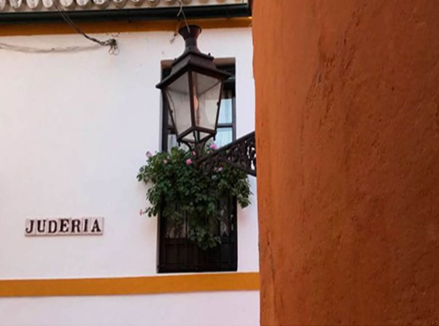 Seville: 1-Hour Walking Tour Barrio De Santa Cruz - Pricing and Reservation Details
