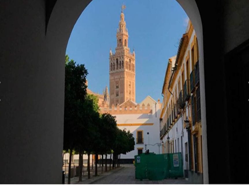 Seville: 1-Hour Walking Tour Barrio De Santa Cruz - Meeting Point and Logistics