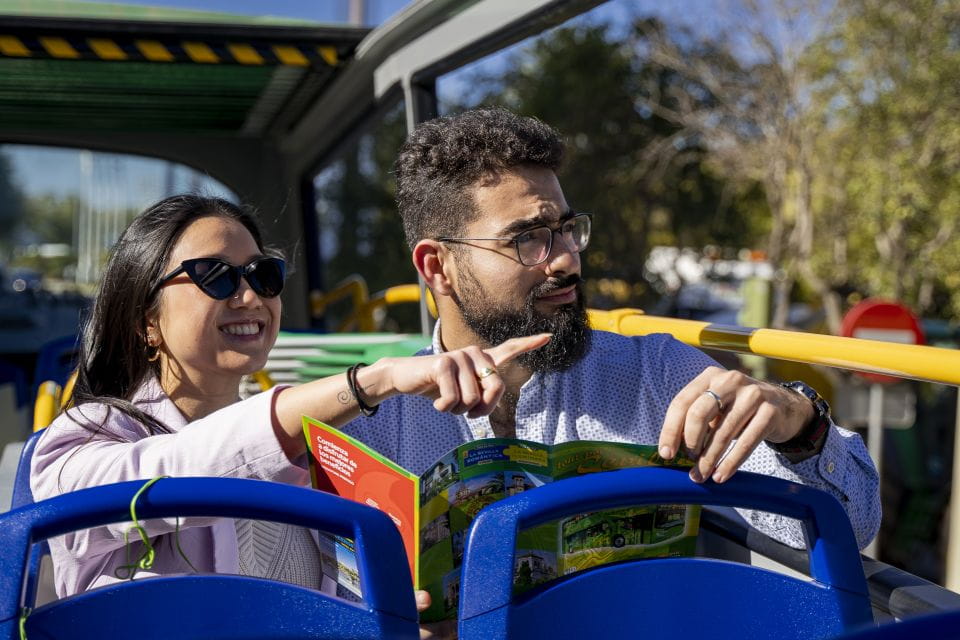 Seville: 2-Day Hop-on Hop-off Bus Ticket - Accessibility Features