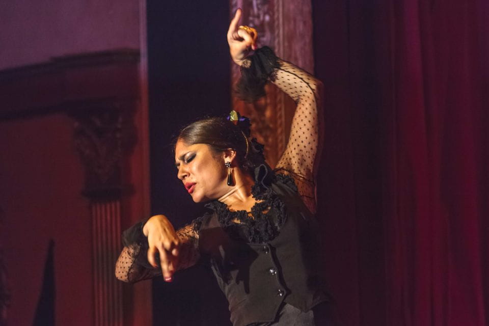 Seville: 3-Hour Flamenco Show and Bus Tour at Night - Customer Reviews