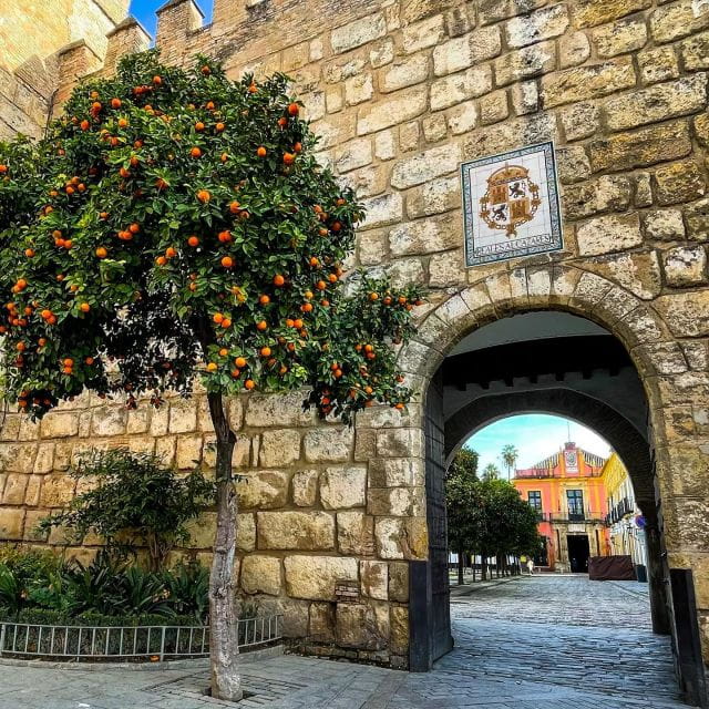 Seville: Alcazar, Cathedral, and Giralda Skip-the-Line Tour - Inclusions