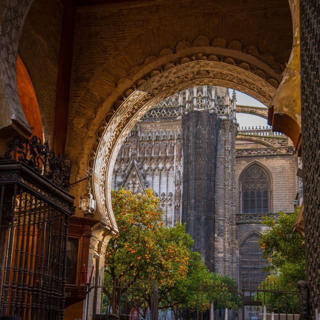 Seville: Alcazar, Cathedral, and Giralda Skip-the-Line Tour - Participant Information
