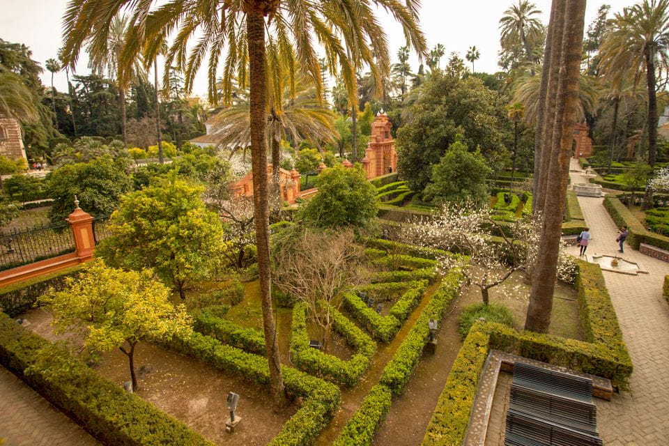 Seville: Alcázar Skip-the-Line Tickets and Guided Tour - Booking Requirements and Policies