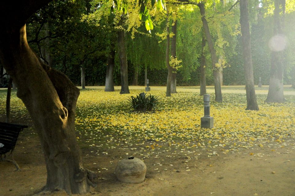 Seville: Alcázar Skip-the-Line Tickets and Guided Tour - Tips for Your Visit