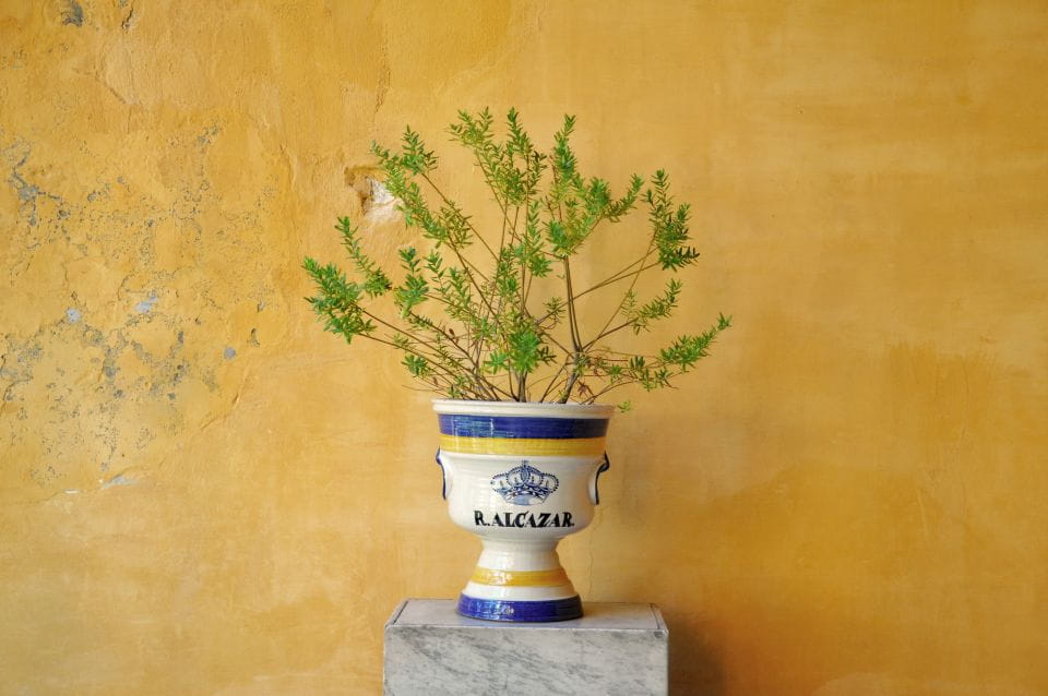 Seville: Alcázar Skip-the-Line Tickets and Guided Tour - How to Get There