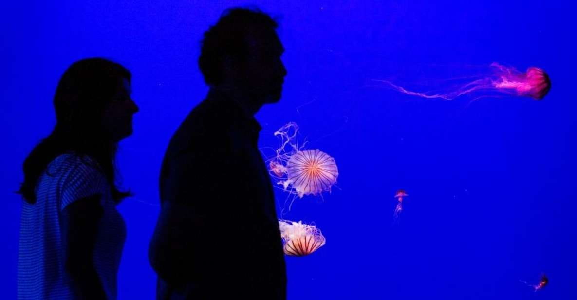 Seville Aquarium Admission Ticket - Aquarium Highlights and Experience