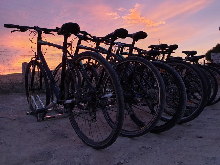 Seville: Bike Rental - Booking and Availability