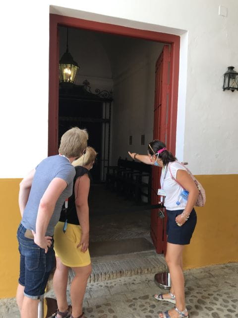 Seville: Bullring Guided Tour & Skip-the-Line Ticket - Important Information and Requirements