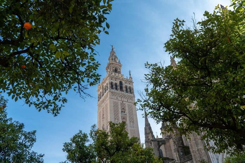 Seville: Cathedral and Giralda Guided Tour with Tapas - Pricing and Value