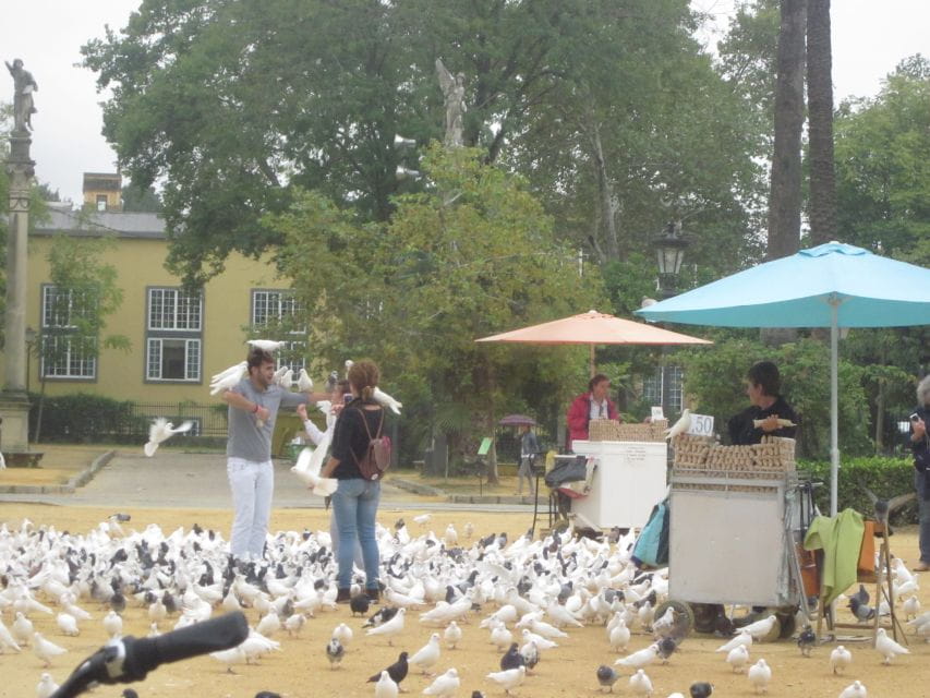 Seville: Daily Bike Tour - Cancellation Policy