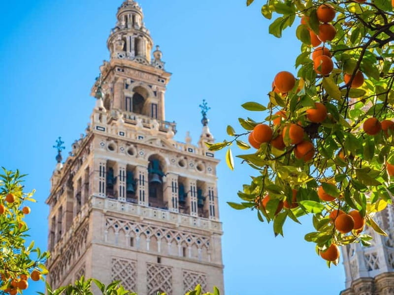 Seville: Dutch Highlights (E-)Bike Tour with a Small Group - Final Thoughts
