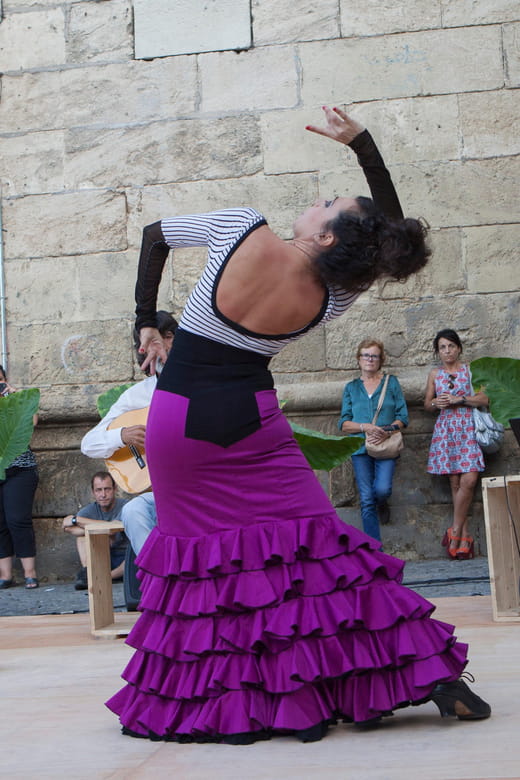 Seville: Enjoy a class of approach to flamenco - Key points / Takeaways