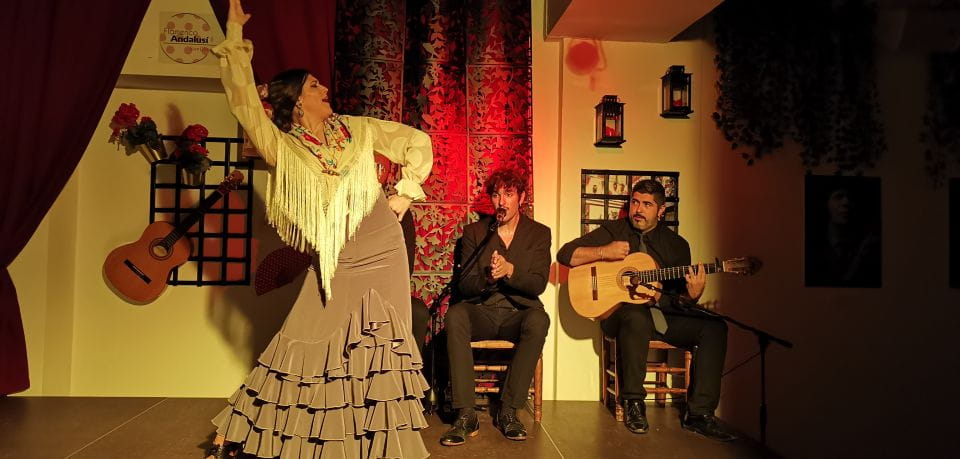 Seville: Flamenco Show at Andalusian Flamenco Tablao - Tips for Attendees