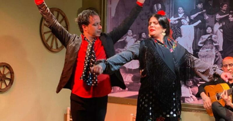 Seville: Flamenco Show at Tablao La Cantaora - Is It Worth the Price? Analyzing the Value