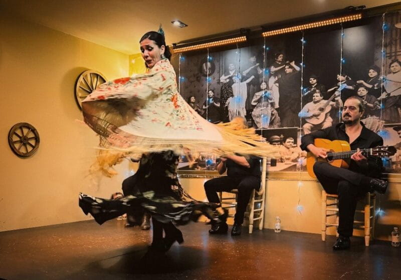 Seville: Flamenco Show at Tablao La Cantaora - Who Will Love This Flamenco Show?