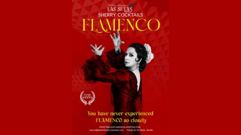 Seville: Flamenco Show Ticket at Tablao Flamenco Las Setas - Key points / Takeaways