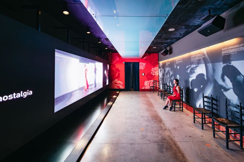 Seville: Flamenco Show With Optional Flamenco Museum Ticket - Flamenco Dance Museum Details