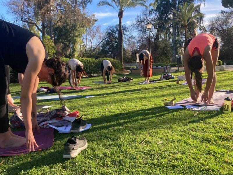 Seville: Group Yoga classes All levels - in French - Key Points / Takeaways