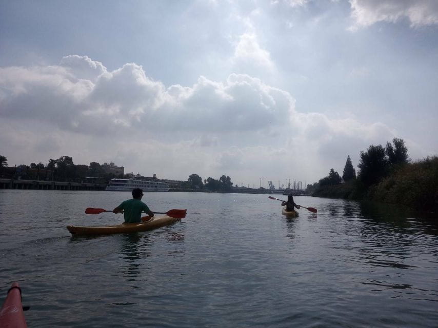 Seville: Guadalquivir River Kayaking Trip - Customer Feedback and Ratings