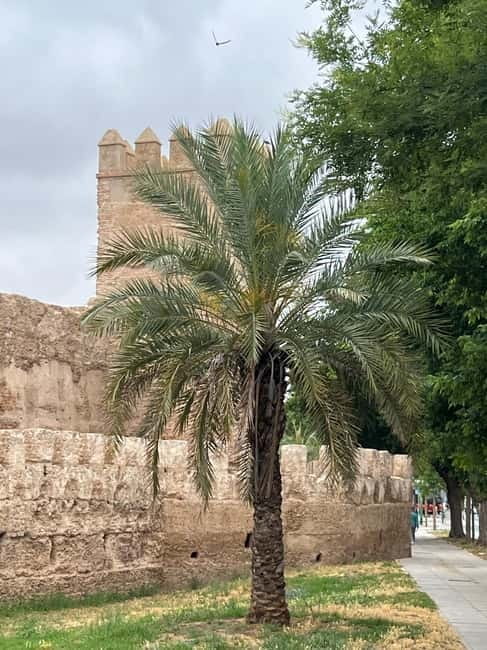 Seville: Guided Dutch Walking Tour with a Local - Key Points / Takeaways