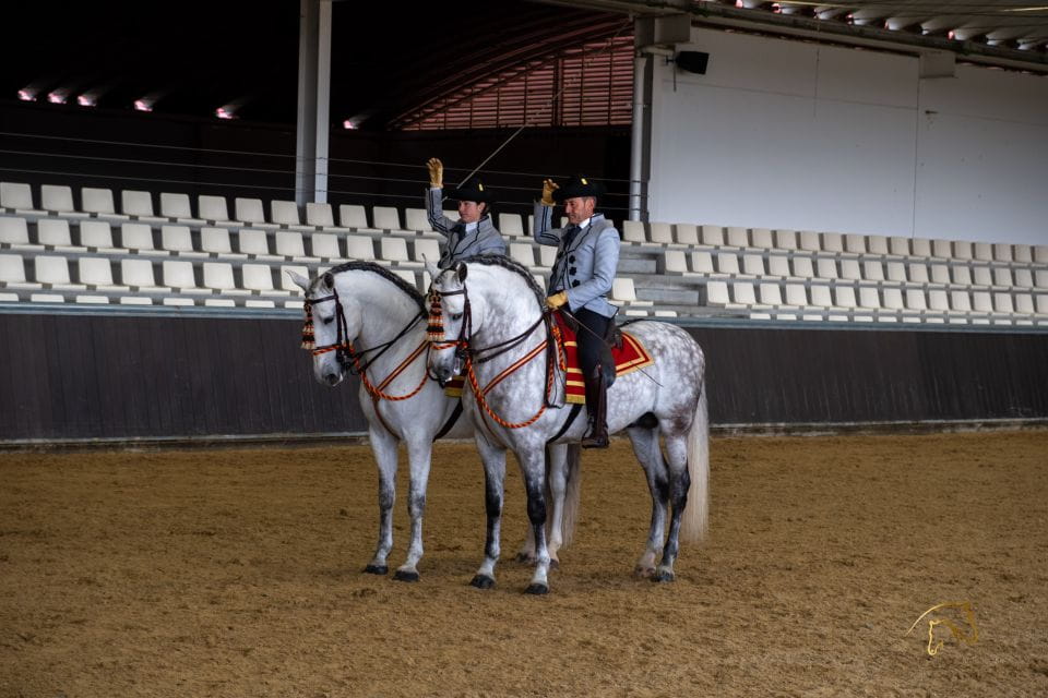 Seville: Horse Show Entry Ticket. Optional Stud Farm Visit - Personal Potential Through Champions