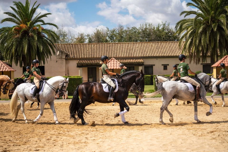 Seville: Horse Show Entry Ticket. Optional Stud Farm Visit - Seven Stops Focusing on Values
