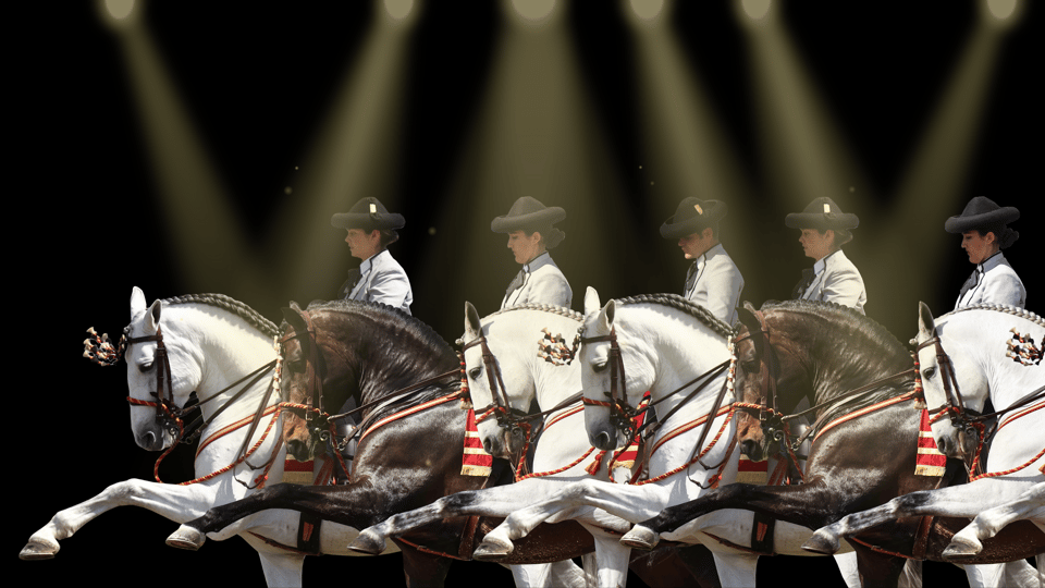 Seville: Horse Show Entry Ticket. Optional Stud Farm Visit - TRADITIONS Show Finishing Touch