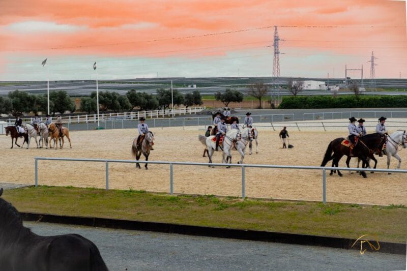 Seville: Horse's Show Entry Ticket. Optional Stud Farm Visit - Key points / Takeaways
