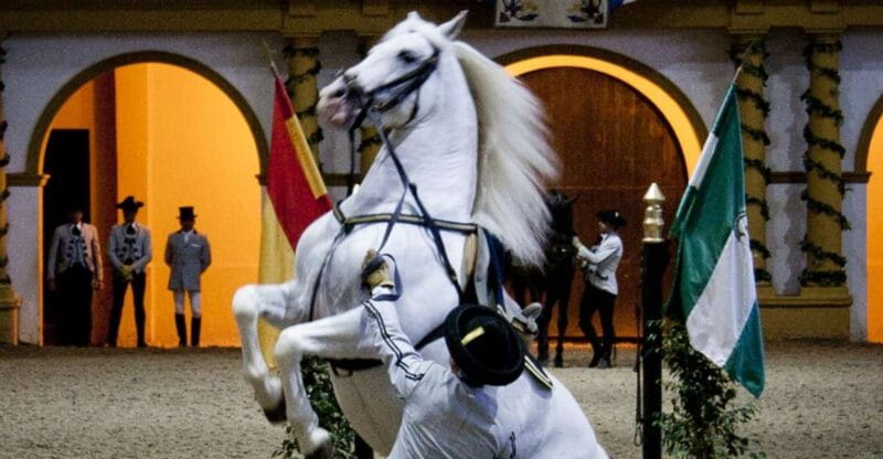 Seville: Jerez, Cadiz Wine Tasting with Optional Horse Show - Key Points / Takeaways