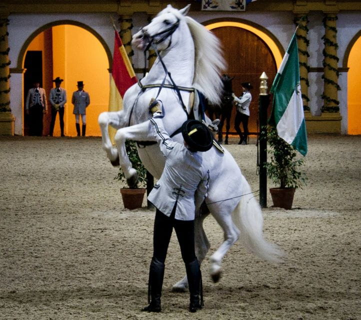 Seville: Jerez, Cadiz Wine Tasting with Optional Horse Show - FAQ