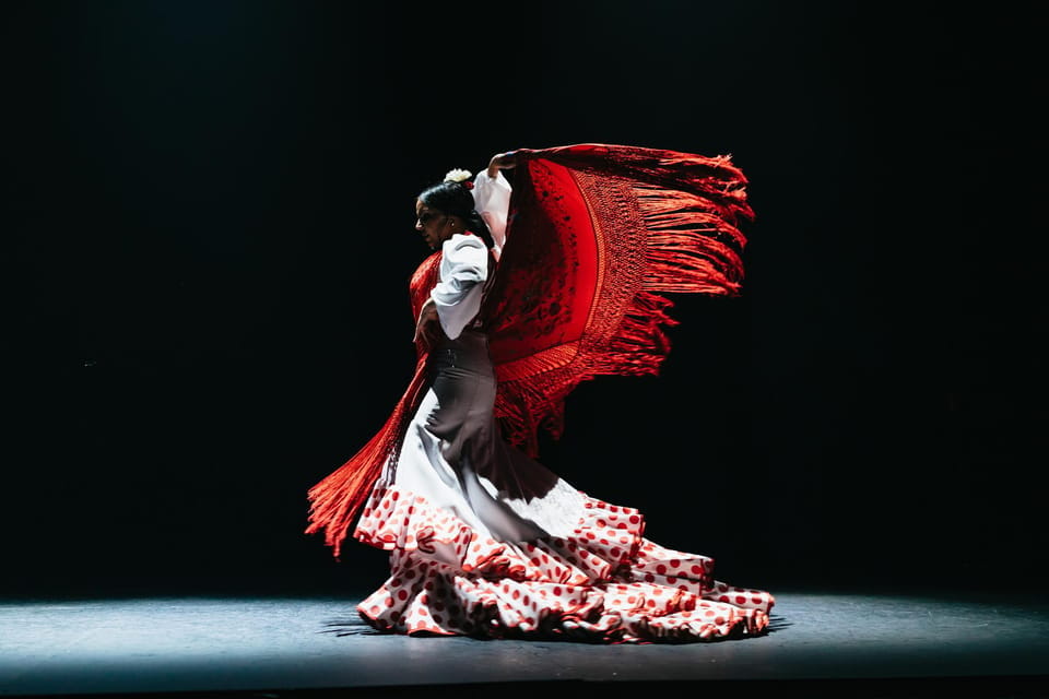 Seville: Live Flamenco Dancing Show Ticket at the Theater - Audience Feedback