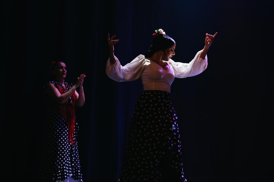Seville: Live Flamenco Dancing Show Ticket at the Theater - Accessibility Features