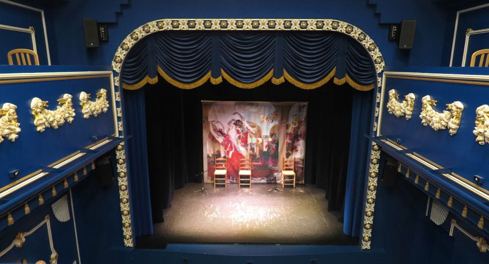 Seville: Live Flamenco Show at Teatro Flamenco Triana - Accessibility Features