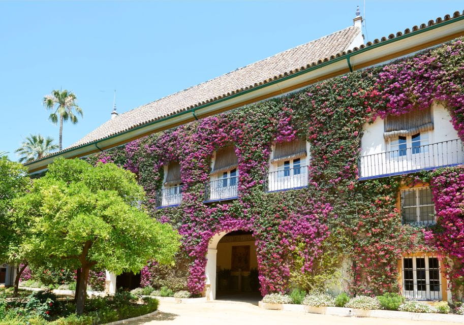 Seville: Palace of the Duenas, La Macarena & The Mushrooms Tour - Itinerary Highlights