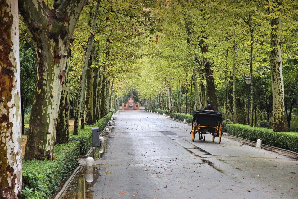 Seville: Private E-Bike City Highlights Tour - Private Group Experience