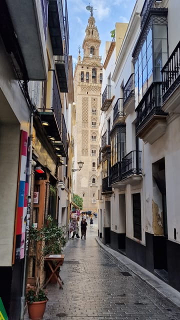 Seville private Tour, The true heart of Andalusia, from Faro - Flamenco & Shopping: Adding Cultural Flair