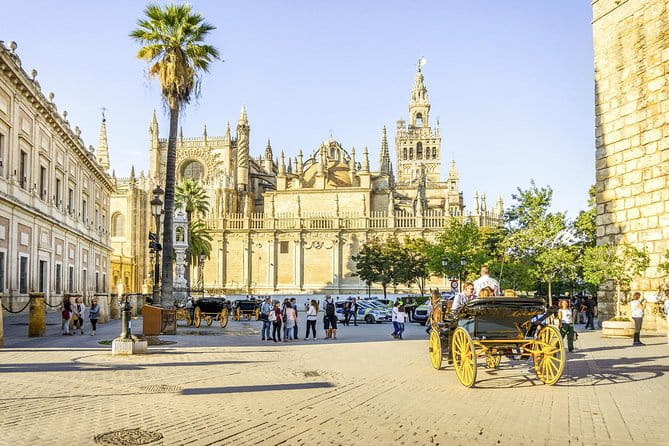 Seville Tour with Alcazar, Cathedral and Giralda from Granada - What to Expect: The Details That Make or Break Your Day