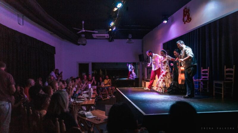 Seville: Traditional Flamenco Show in Triana - Practical Details: Pricing, Logistics, and Tips