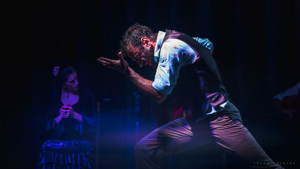 Seville: Traditional Flamenco Show in Triana - Tips for Attending