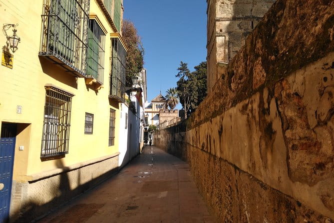 Seville, walk through the heart of the city - Who Should Book This Tour?