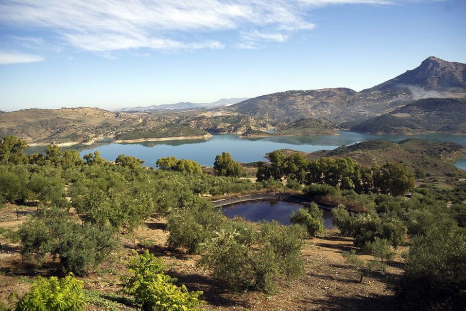 Seville: White Villages & Ronda 2-Day Trip & Overnight Stay - Things To Know