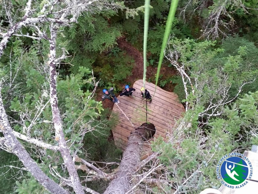 Seward: Stoney Creek Canopy Tour With Zipline - Guided Tour and Transportation Included