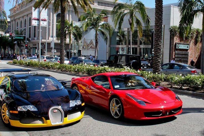 Shared 3 Hour Los Angeles Tour - Customer Feedback