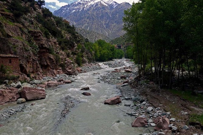 Shared Day Trip to Ourika Valley From Marrakech - Pickup and Drop-off Arrangements