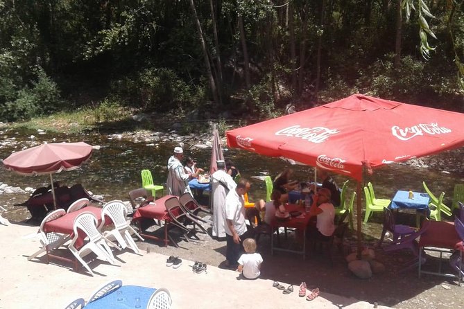Shared Day Trip to Ourika Valley From Marrakech - Tour Group Size and Accessibility