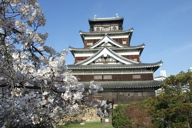 Shared Departure Transfer : Hiroshima City to Hiroshima Airport - Baggage and Accessibility